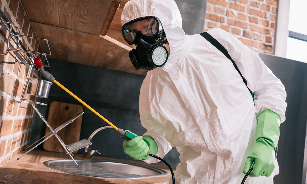 Technician in protective suit performing mold remediation after water damage in a New Jersey home