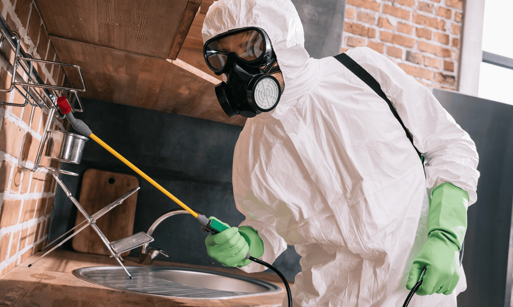 Technician in protective suit performing mold remediation after water damage in a New Jersey home